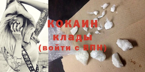 твердый Алексеевка