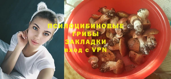 твердый Алексеевка