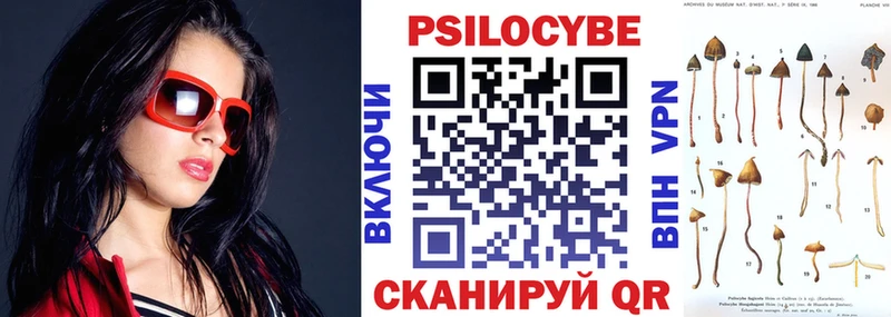 Галлюциногенные грибы мицелий  shop клад  Ивдель 